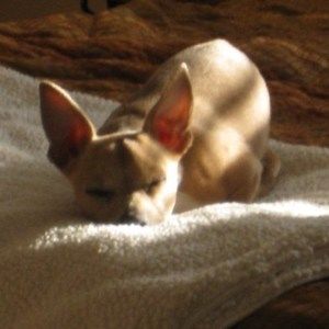 Meet your Posher, Beth